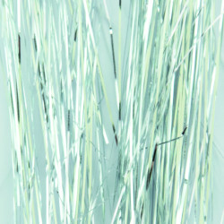 Striping Glitter Silver, Abstract