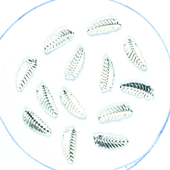 3D Feather Silver