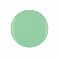 Mint Chocolate Chip 15ml MT